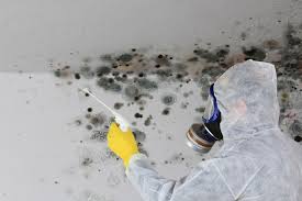 Best Air Quality Testing for Mold Spores in St Cloud, MN